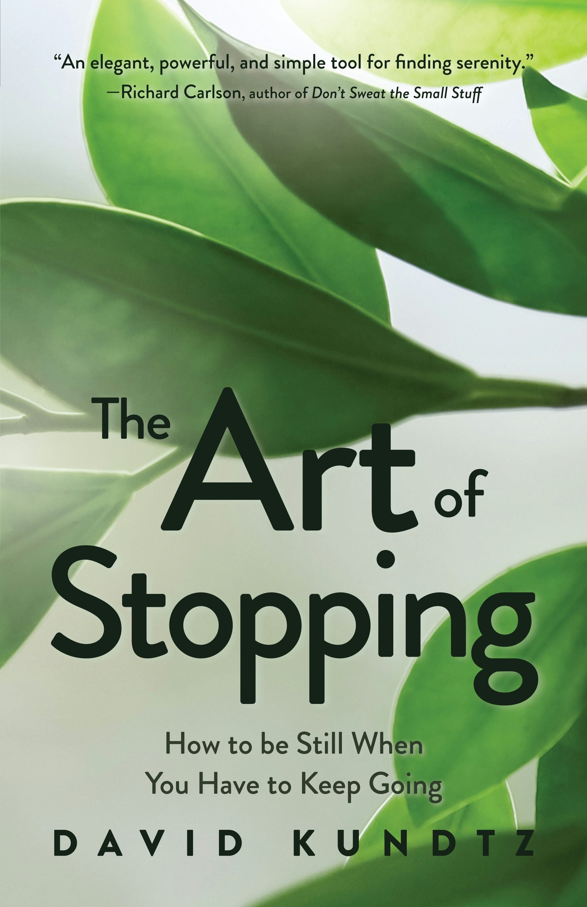 Book cover image for The Art of Stopping ISBN: 9781642504392