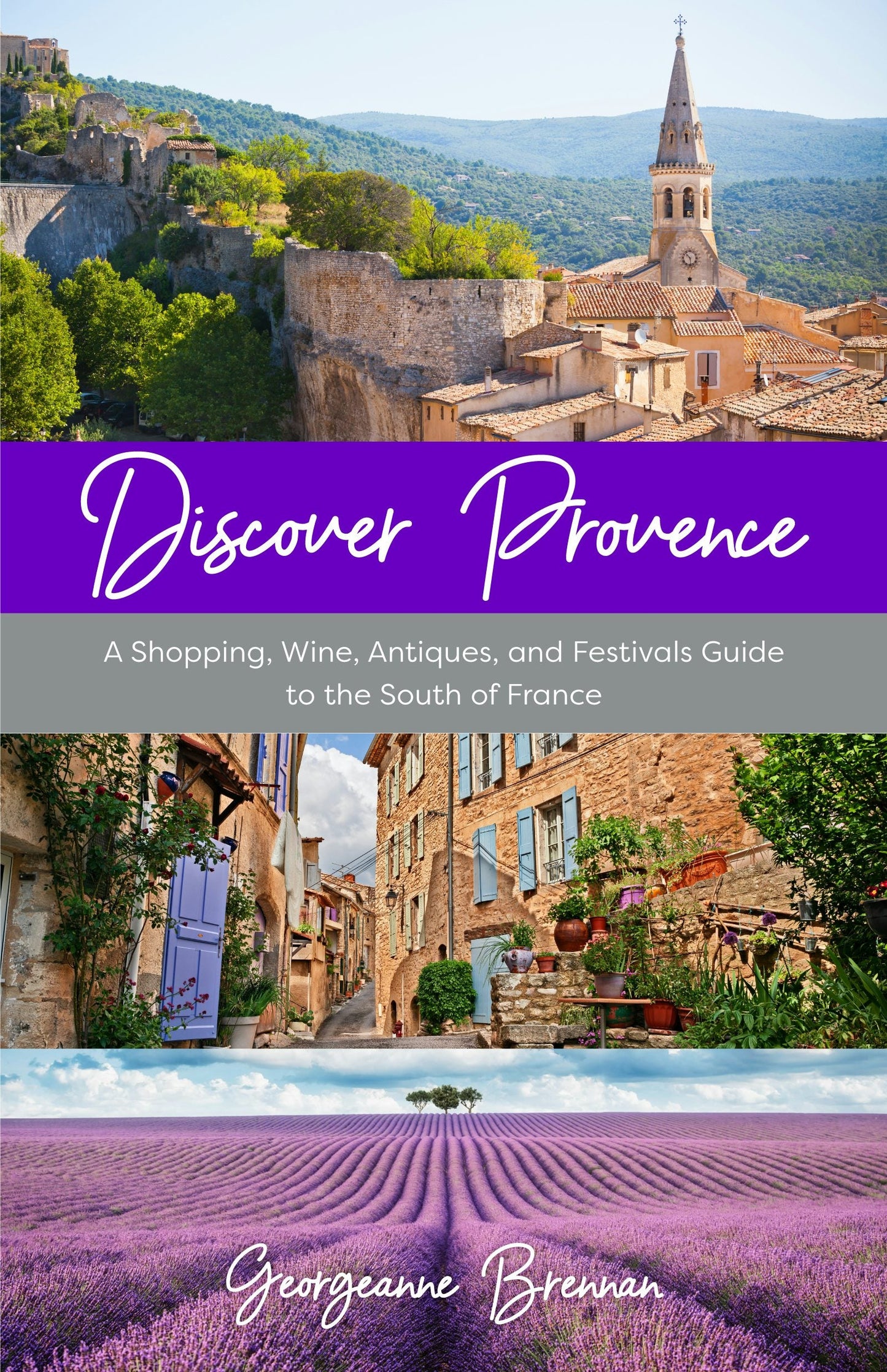 Book cover image for Discover Provence ISBN: 9781642508864