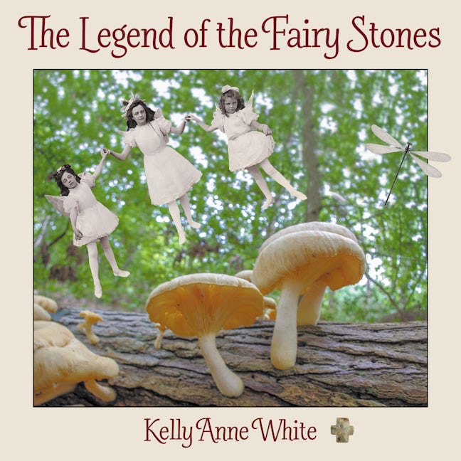 Book cover image for The Legend of the Fairy Stones ISBN: 9781642791969