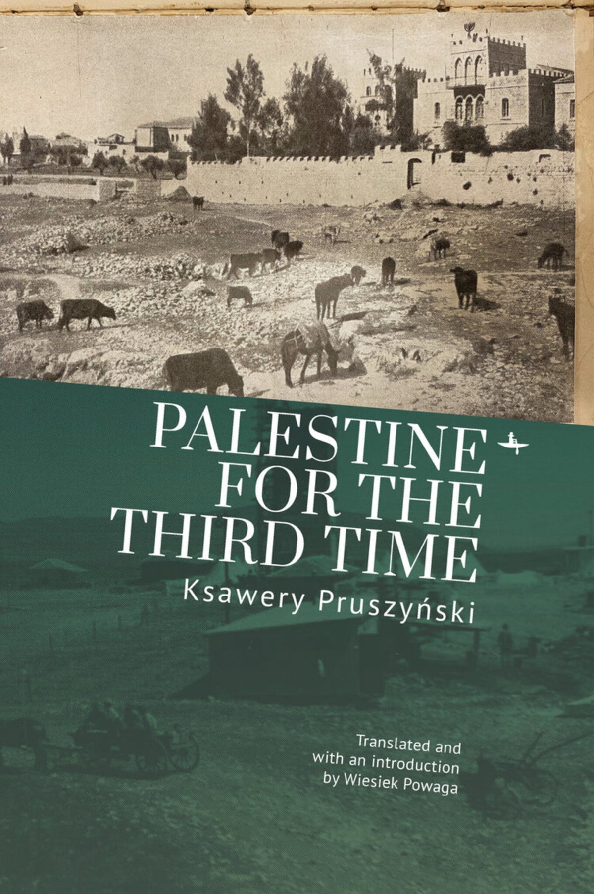 Cover image for Palestine for the Third Time ISBN 9781644695654