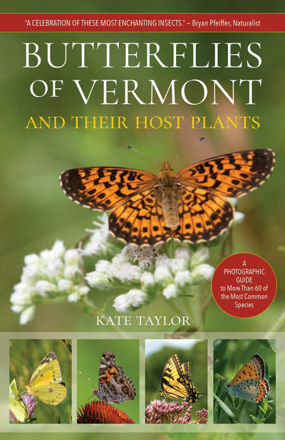 Cover image for Butterflies of Vermont, isbn: 9781646013098