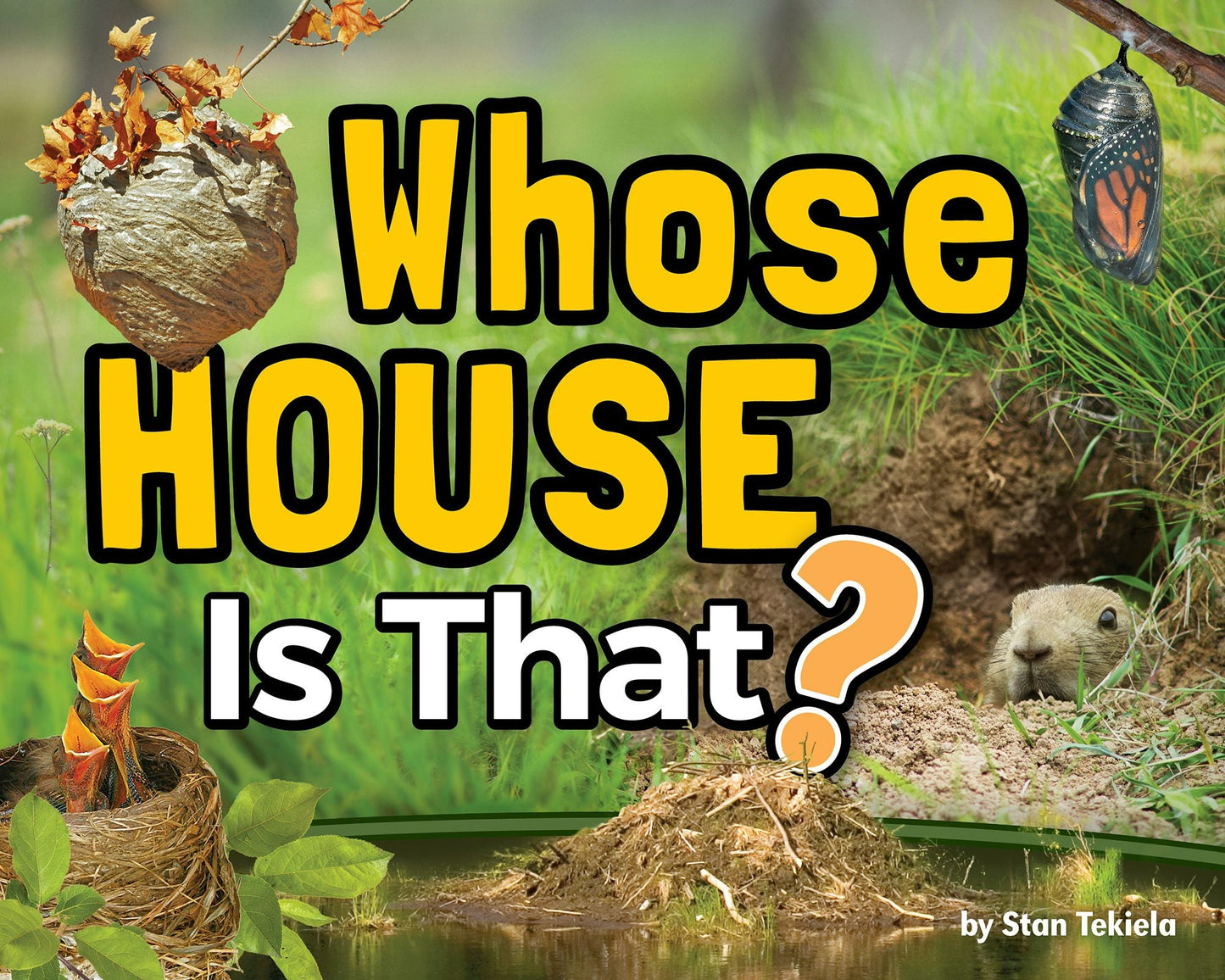 Book cover image for Whose House Is That? ISBN: 9781647550745