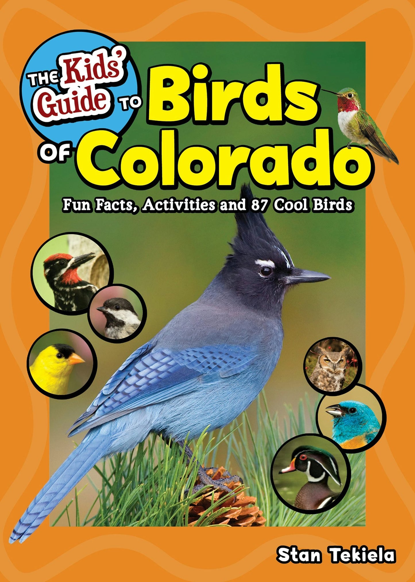 Book cover image for The Kids' Guide to Birds of Colorado ISBN: 9781647551421
