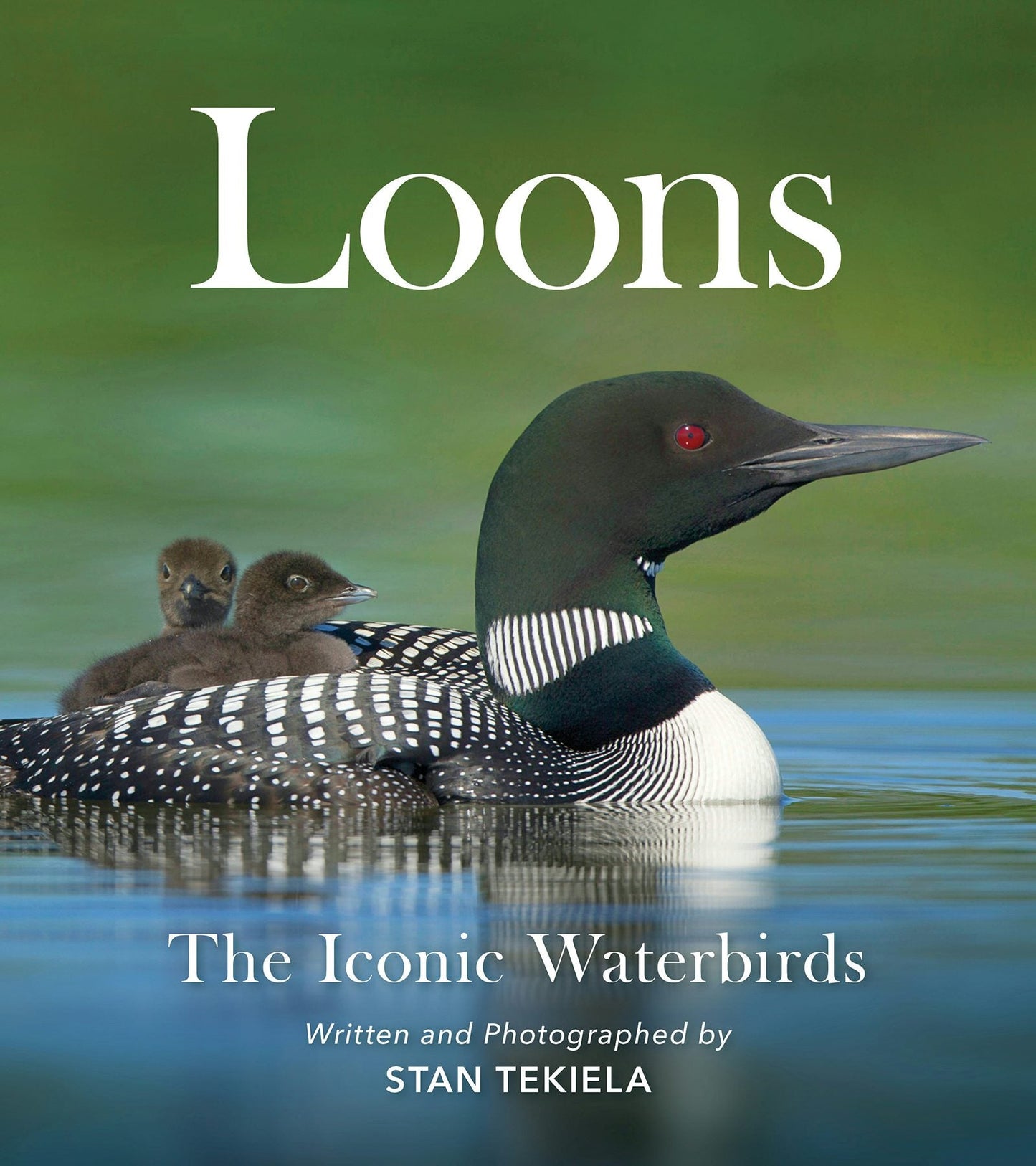 Book cover image for Loons ISBN: 9781647552091