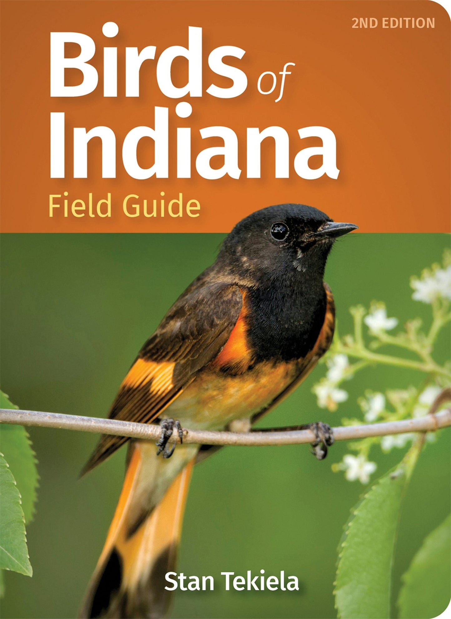 Book cover image for Birds of Indiana Field Guide ISBN: 9781647552398