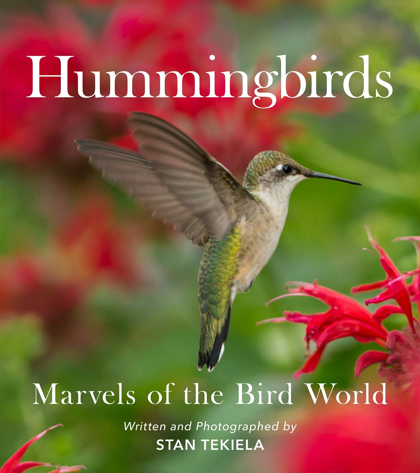 Book cover image for Hummingbirds ISBN: 9781647552466