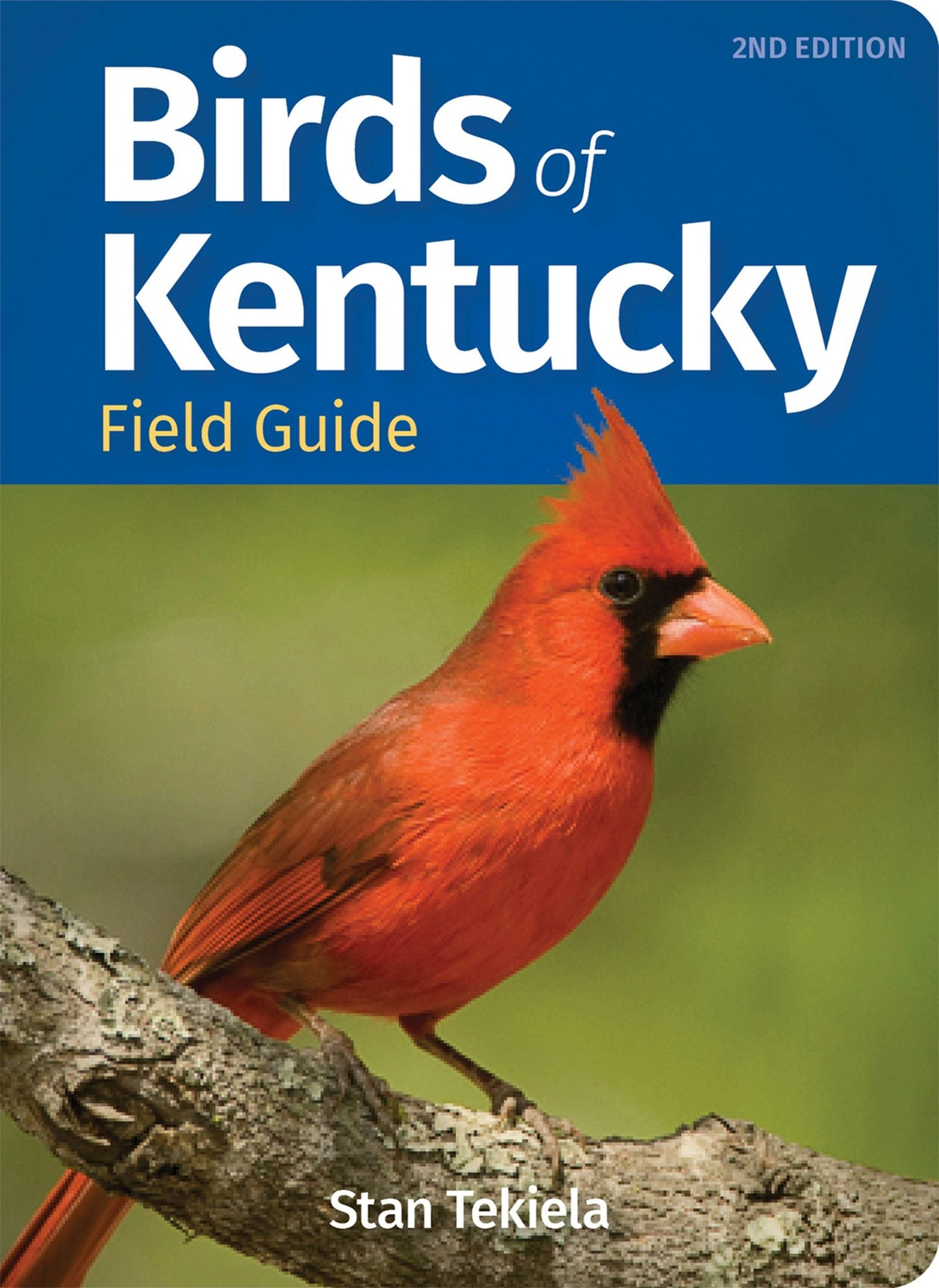 Book cover image for Birds of Kentucky Field Guide ISBN: 9781647552978