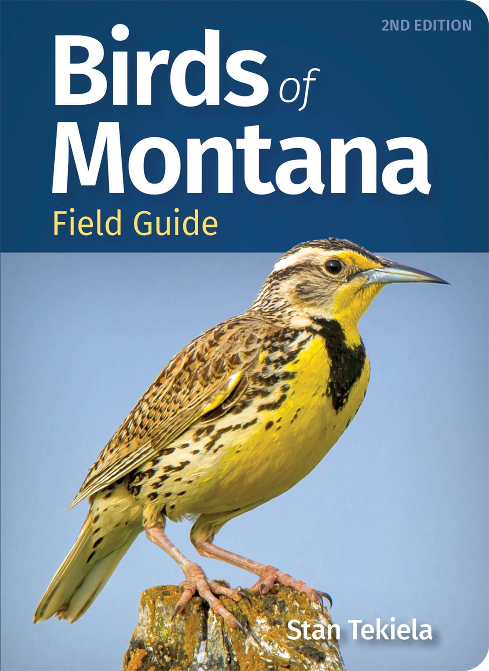 Book cover image for Birds of Montana Field Guide ISBN: 9781647553012