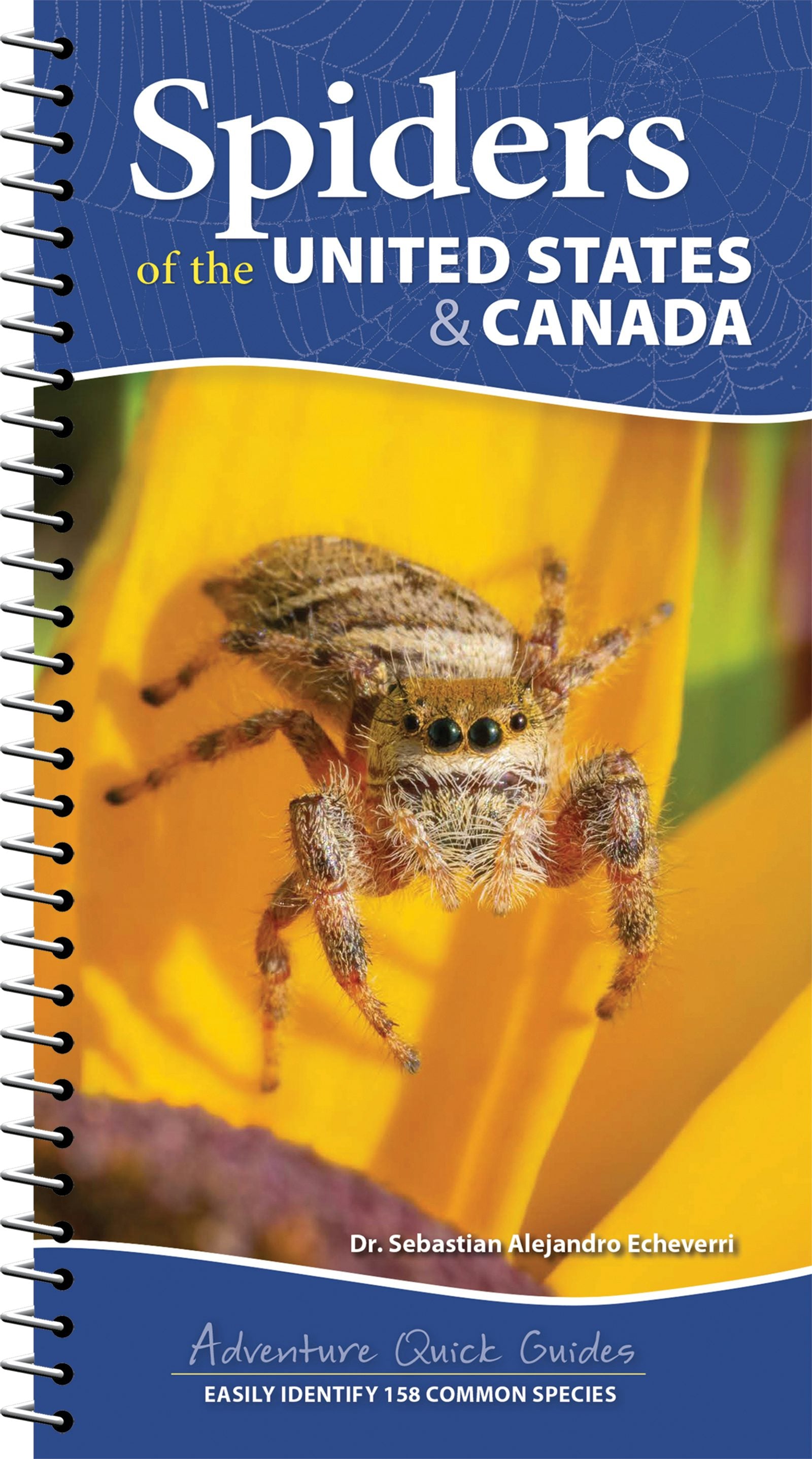 Book cover image for Spiders of the United States & Canada ISBN: 9781647553463