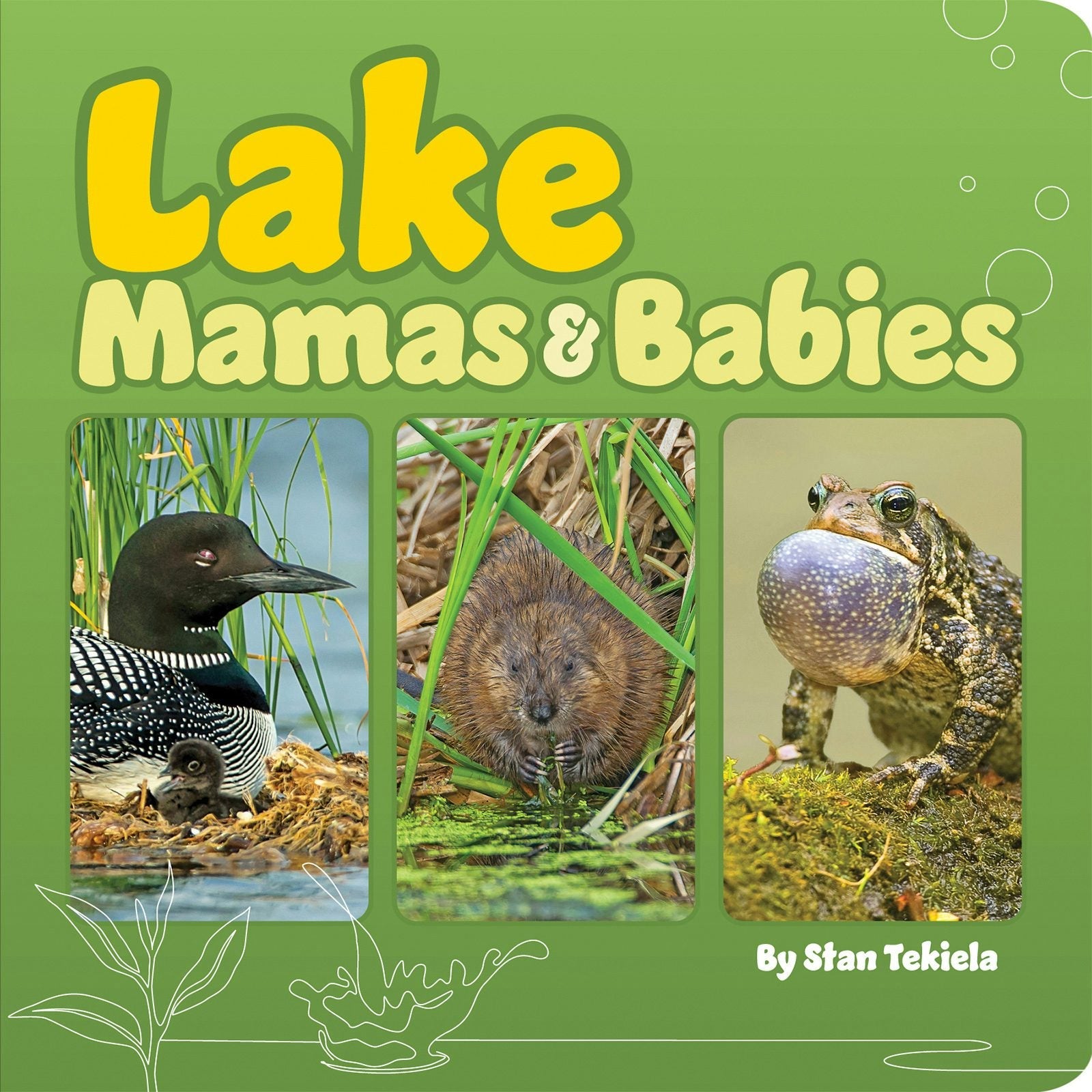 Book cover image for Lake Mamas & Babies ISBN: 9781647553616