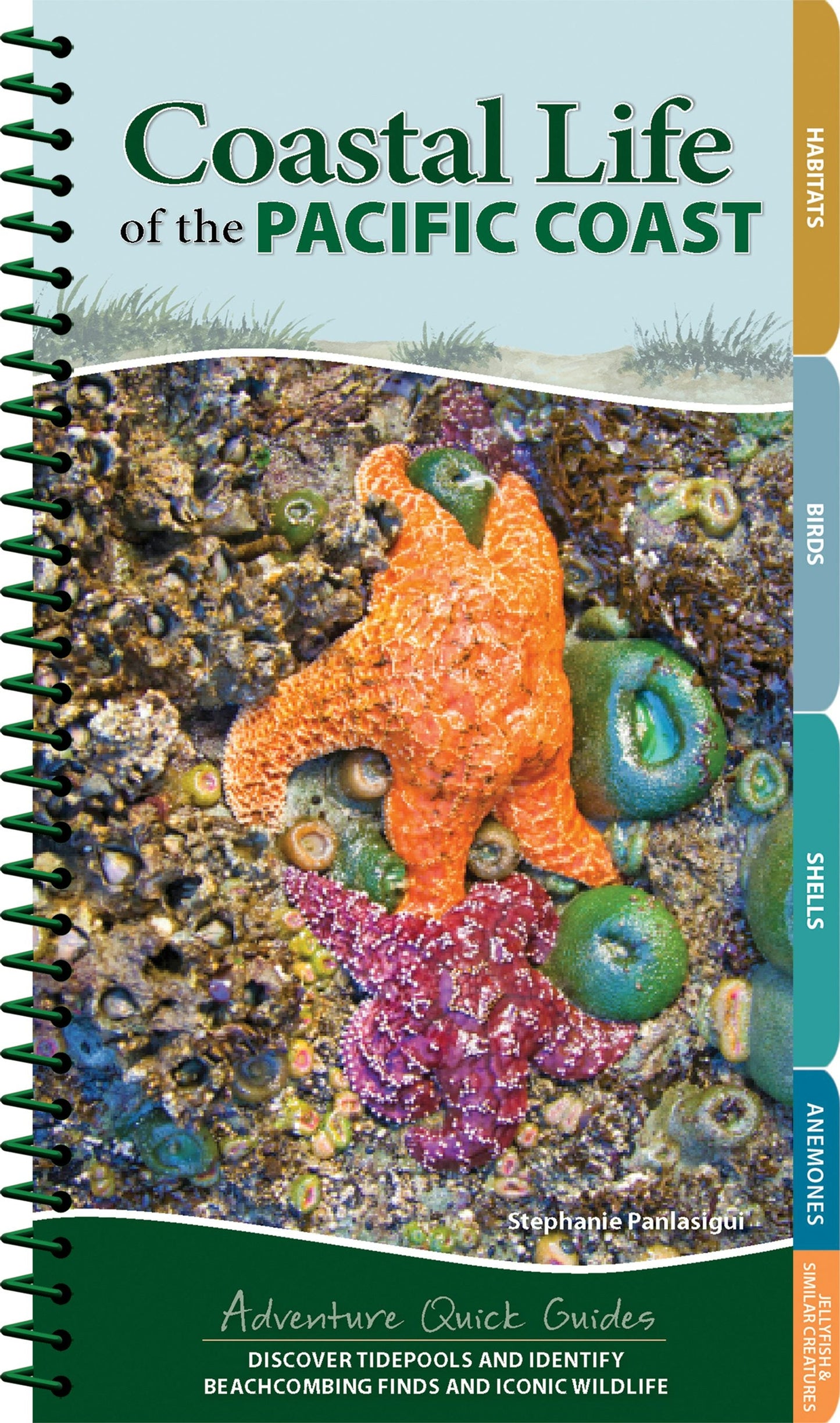 Book cover image for Coastal Life of the Pacific Coast ISBN: 9781647553944