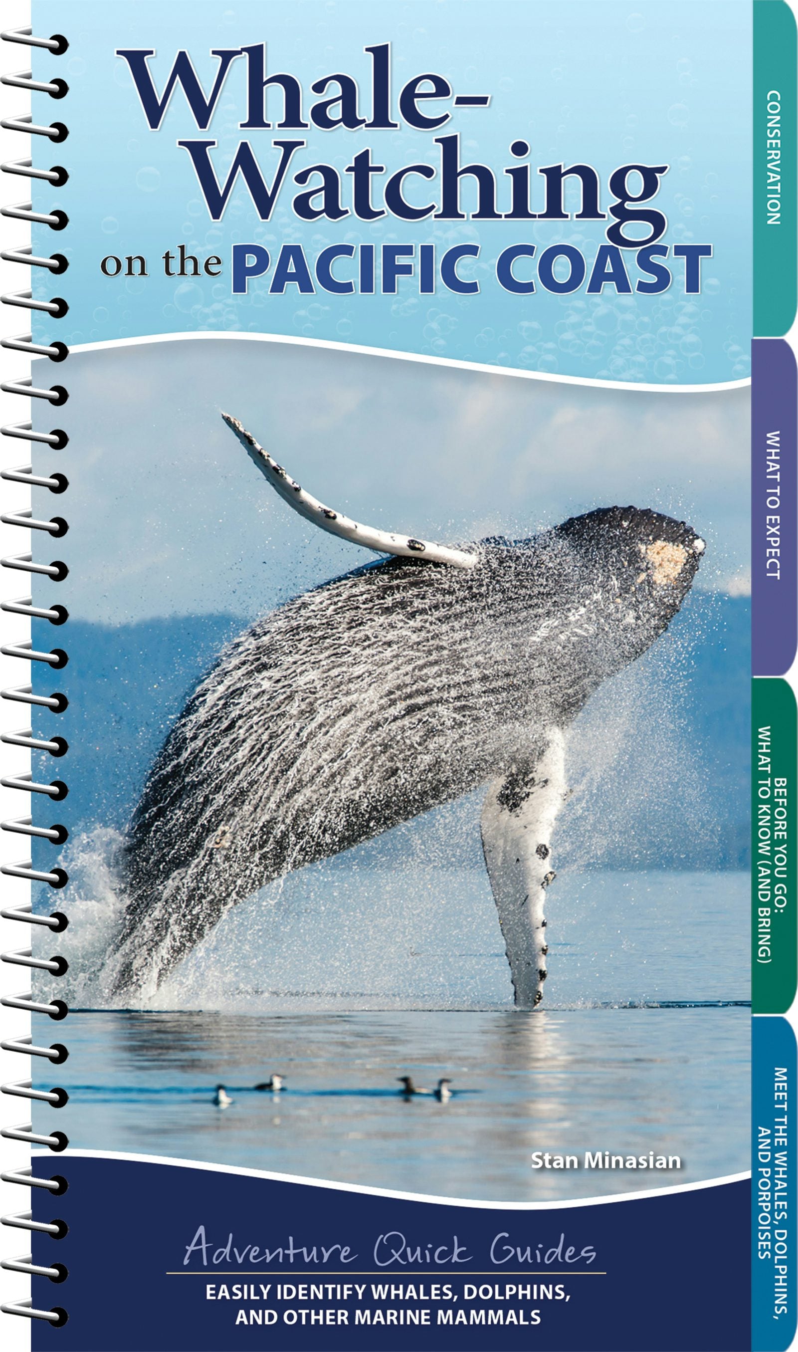 Book cover image for Whale-Watching on the Pacific Coast ISBN: 9781647554002