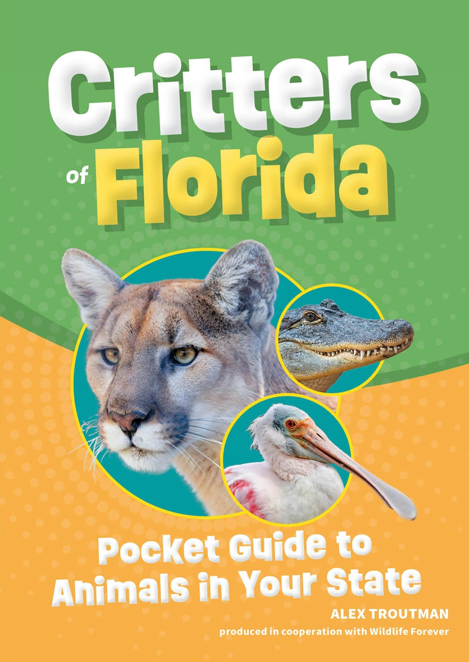 Book cover image for Critters of Florida ISBN: 9781647554095