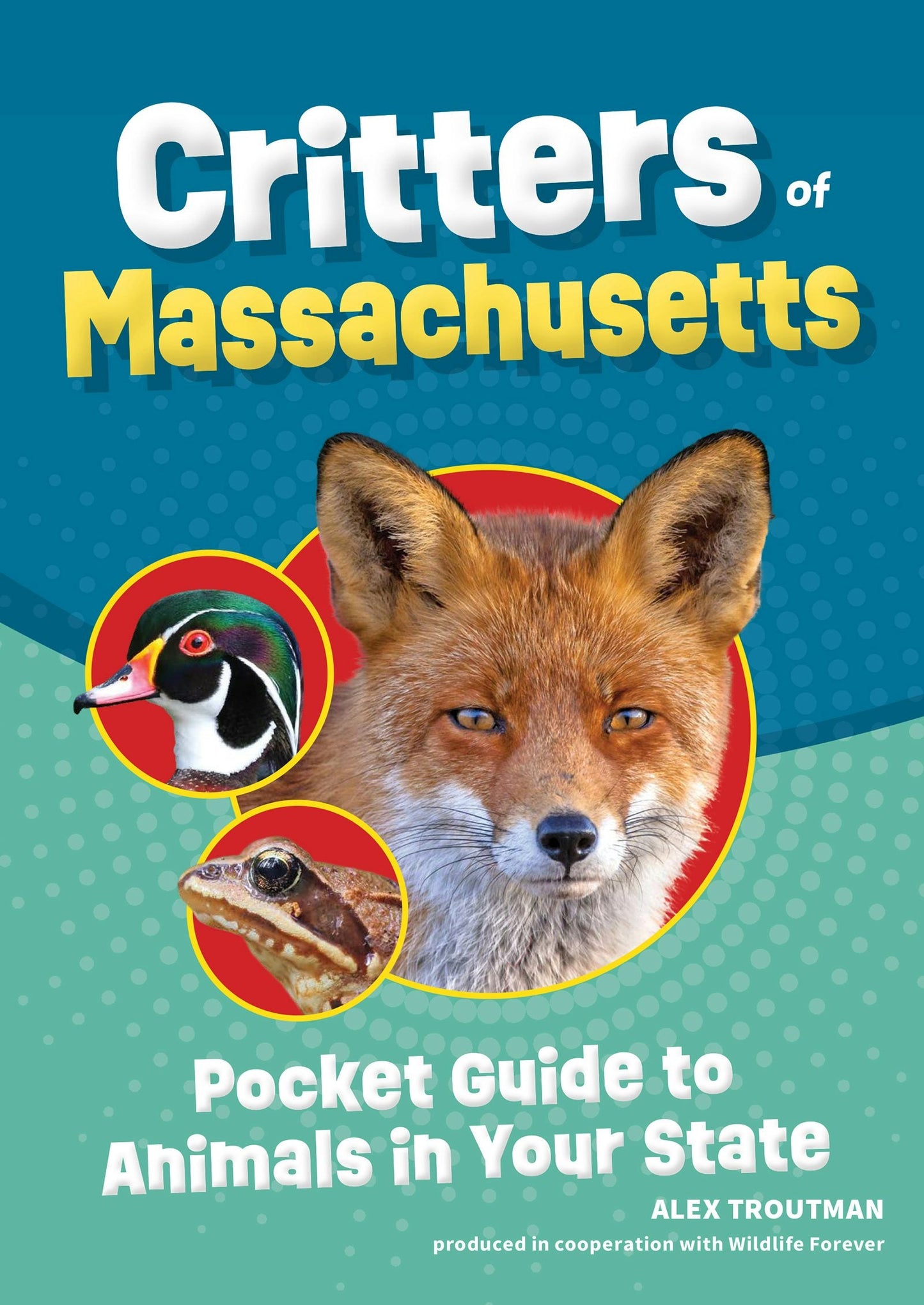 Book cover image for Critters of Massachusetts ISBN: 9781647554156