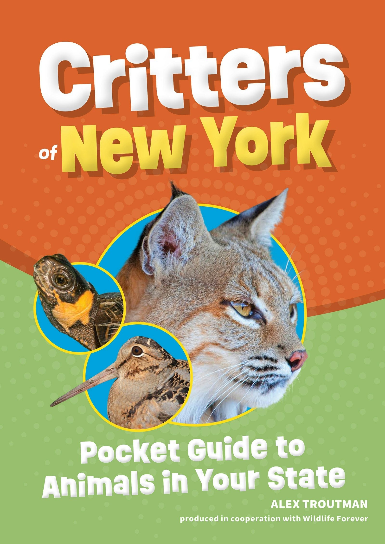 Book cover image for Critters of New York ISBN: 9781647554330