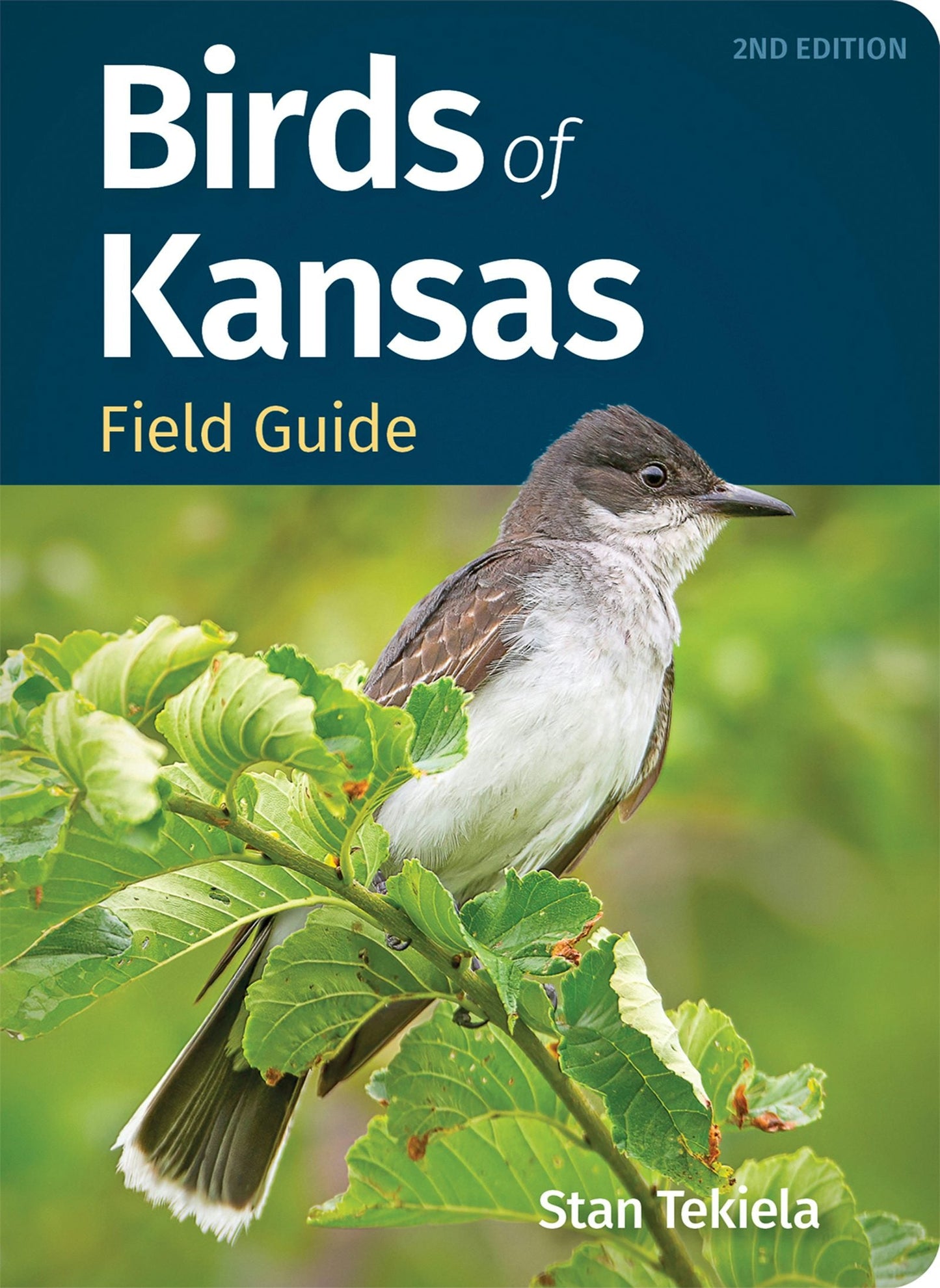Book cover image for Birds of Kansas Field Guide ISBN: 9781647554491