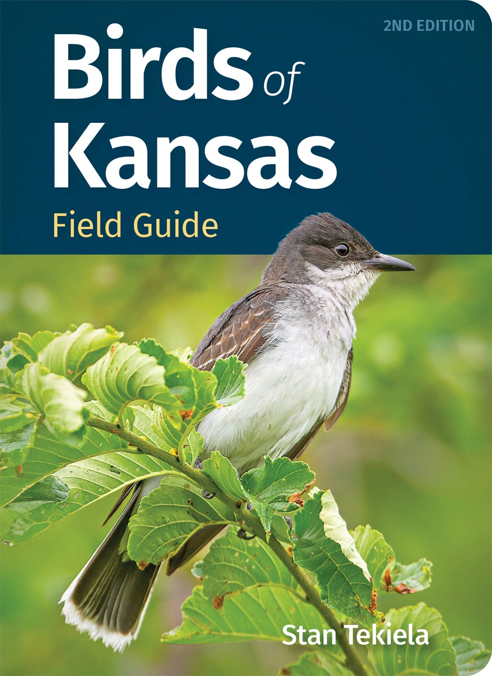Book cover image for Birds of Kansas Field Guide ISBN: 9781647554491