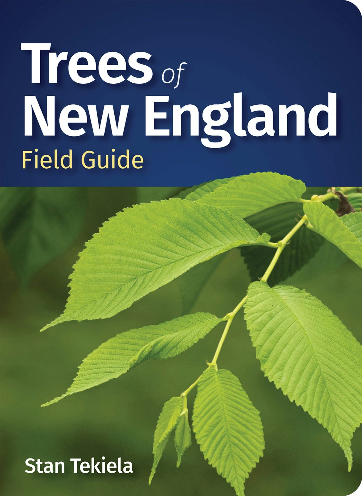 Book cover image for Trees of New England Field Guide ISBN: 9781647554538