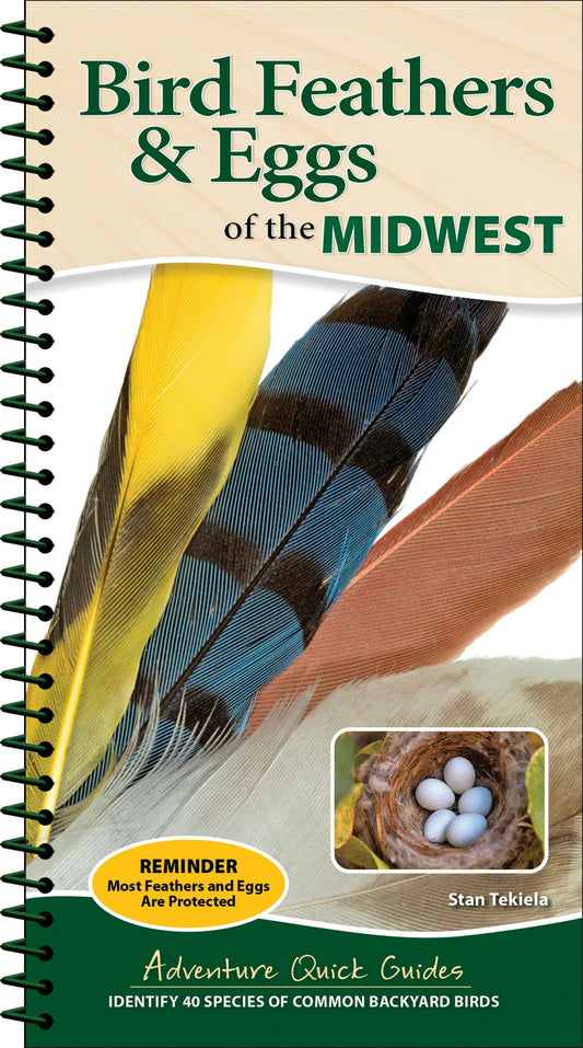 Bird Feathers & Eggs of the Midwest