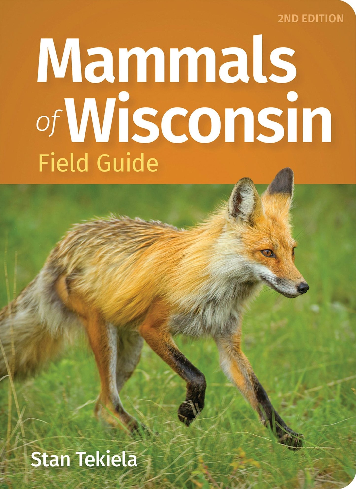 Book cover image for Mammals of Wisconsin Field Guide ISBN: 9781647555191