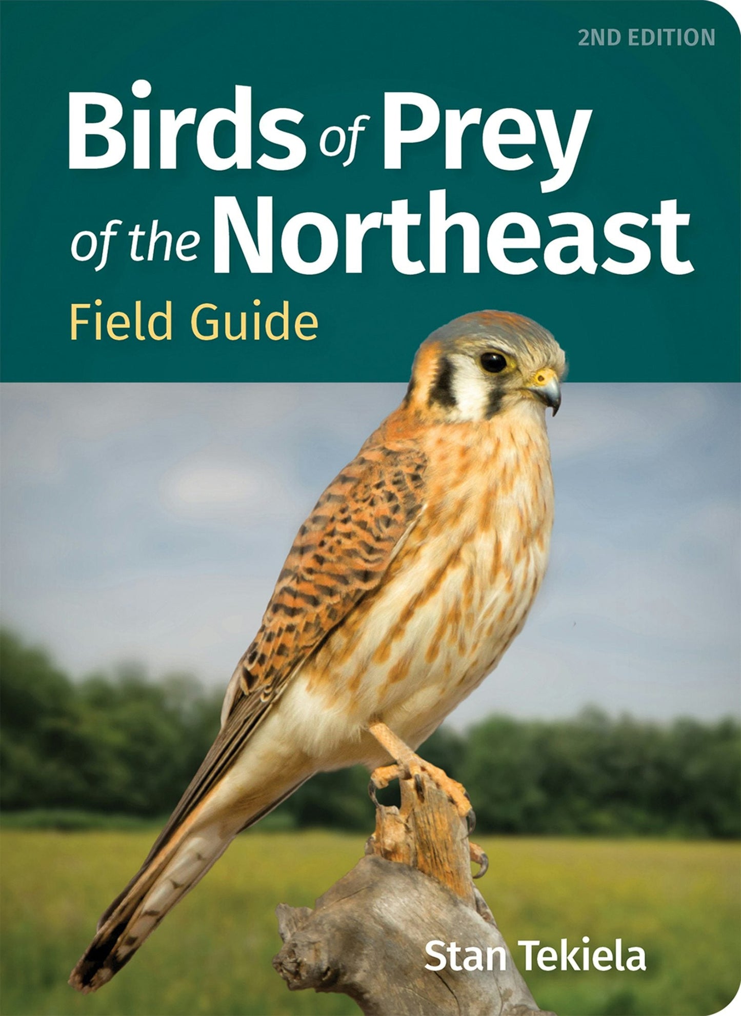 Book cover image for Birds of Prey of the Northeast Field Guide ISBN: 9781647555573