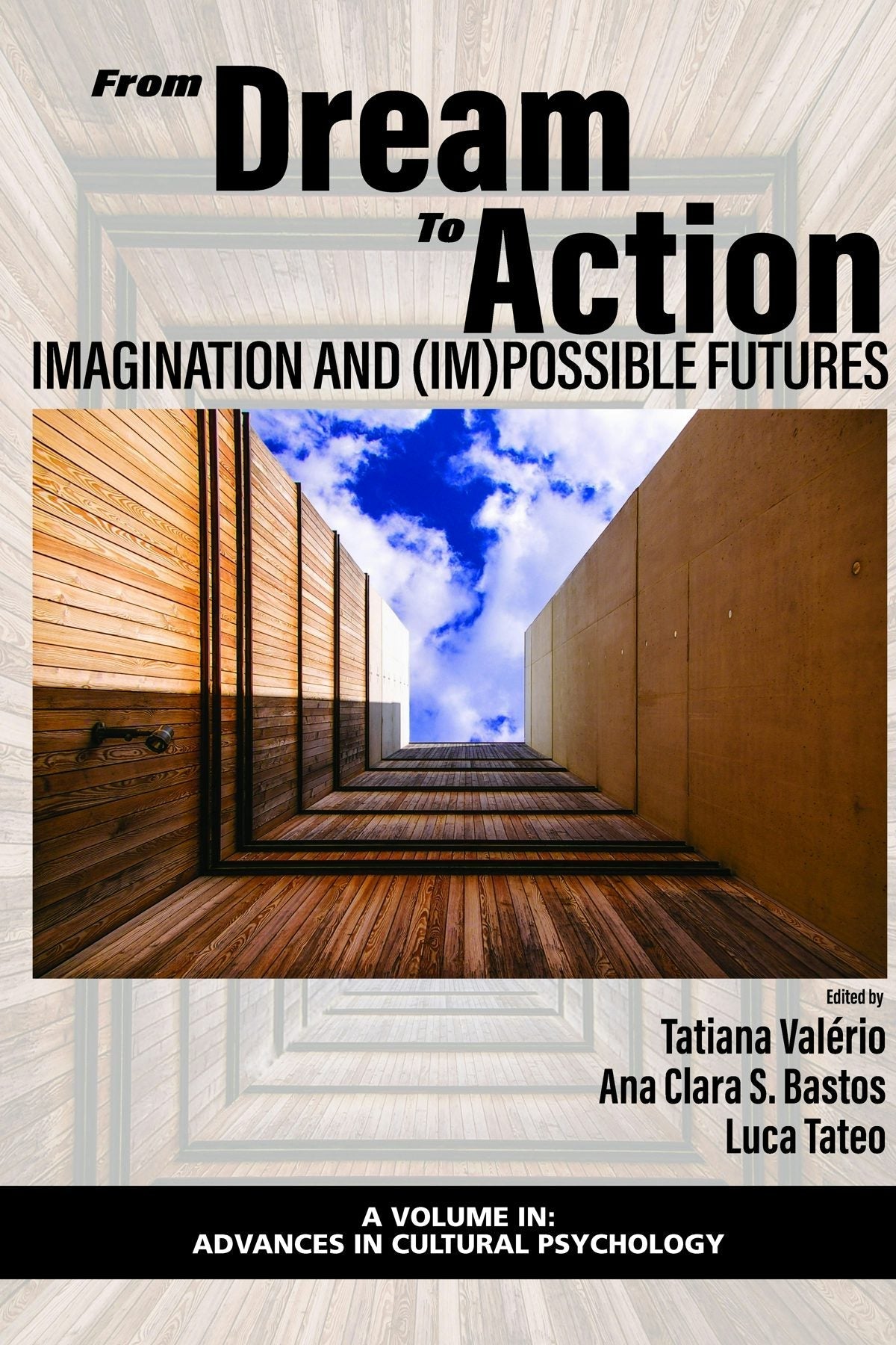 Book cover image for From Dream to Action ISBN: 9781648022791
