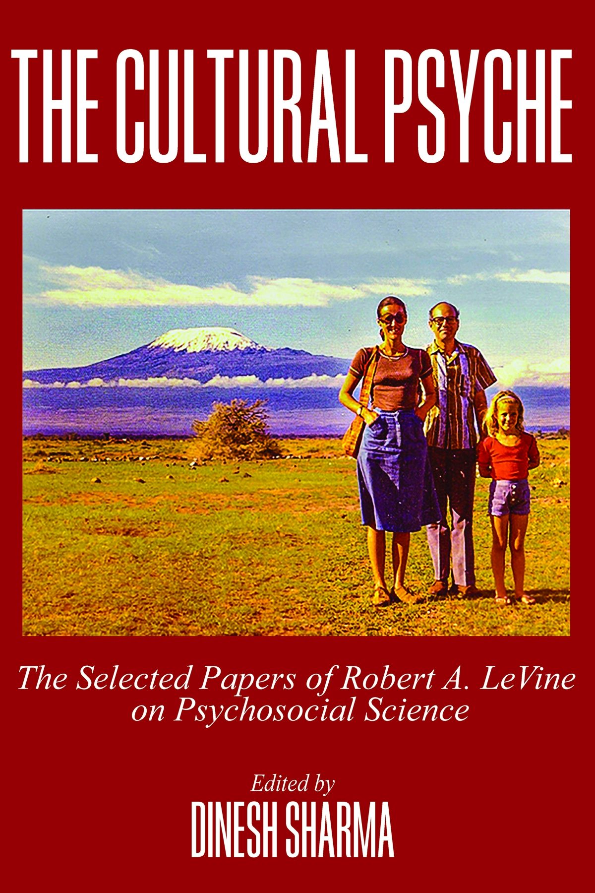 Book cover image for The Cultural Psyche ISBN: 9781648024122