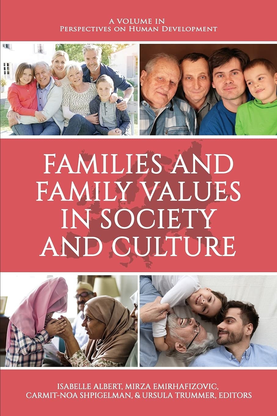 Book cover image for Families and Family Values in Society and Culture ISBN: 9781648024344