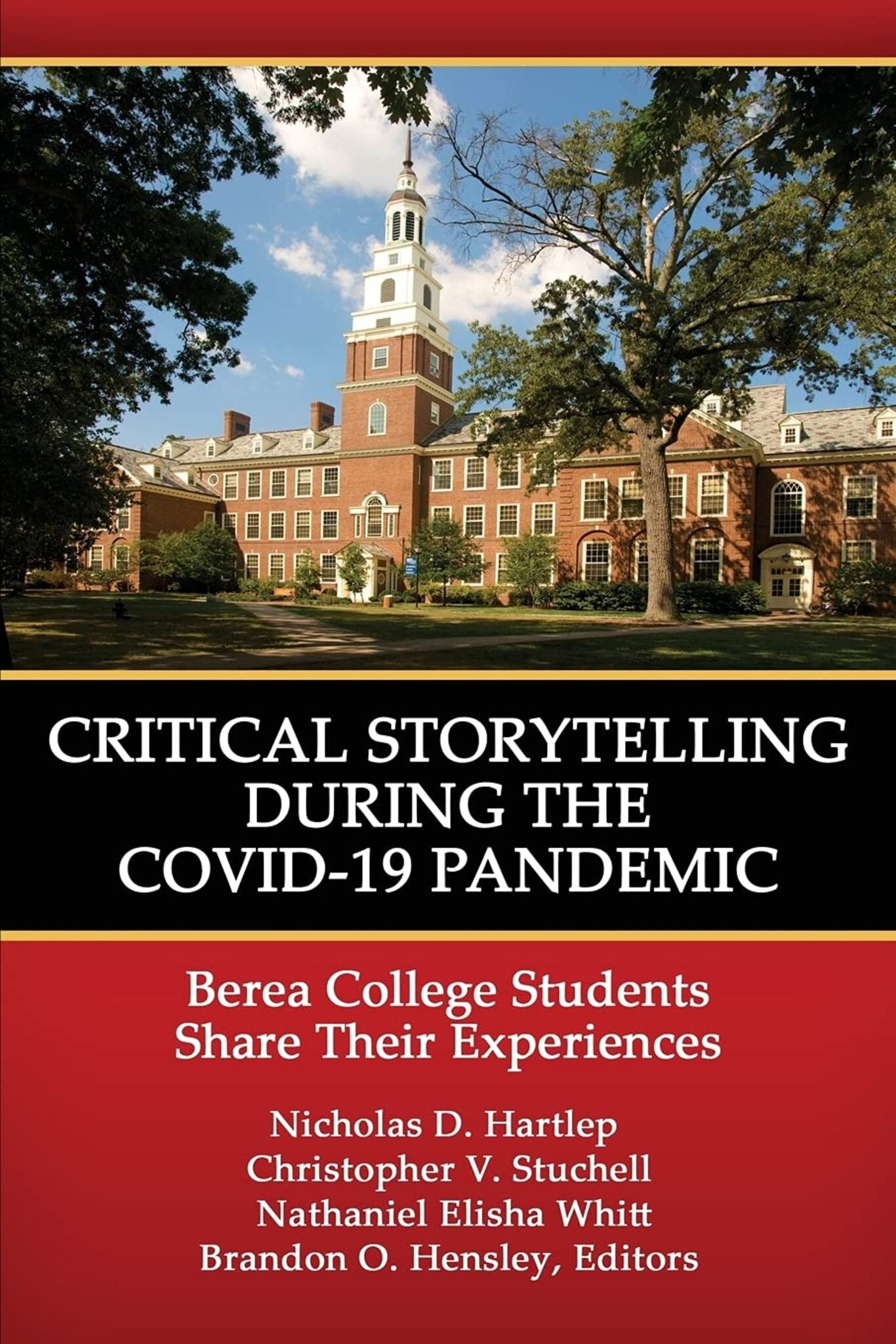 Cover image for Critical Storytelling During the COVID-19 Pandemic ISBN 9781648025495
