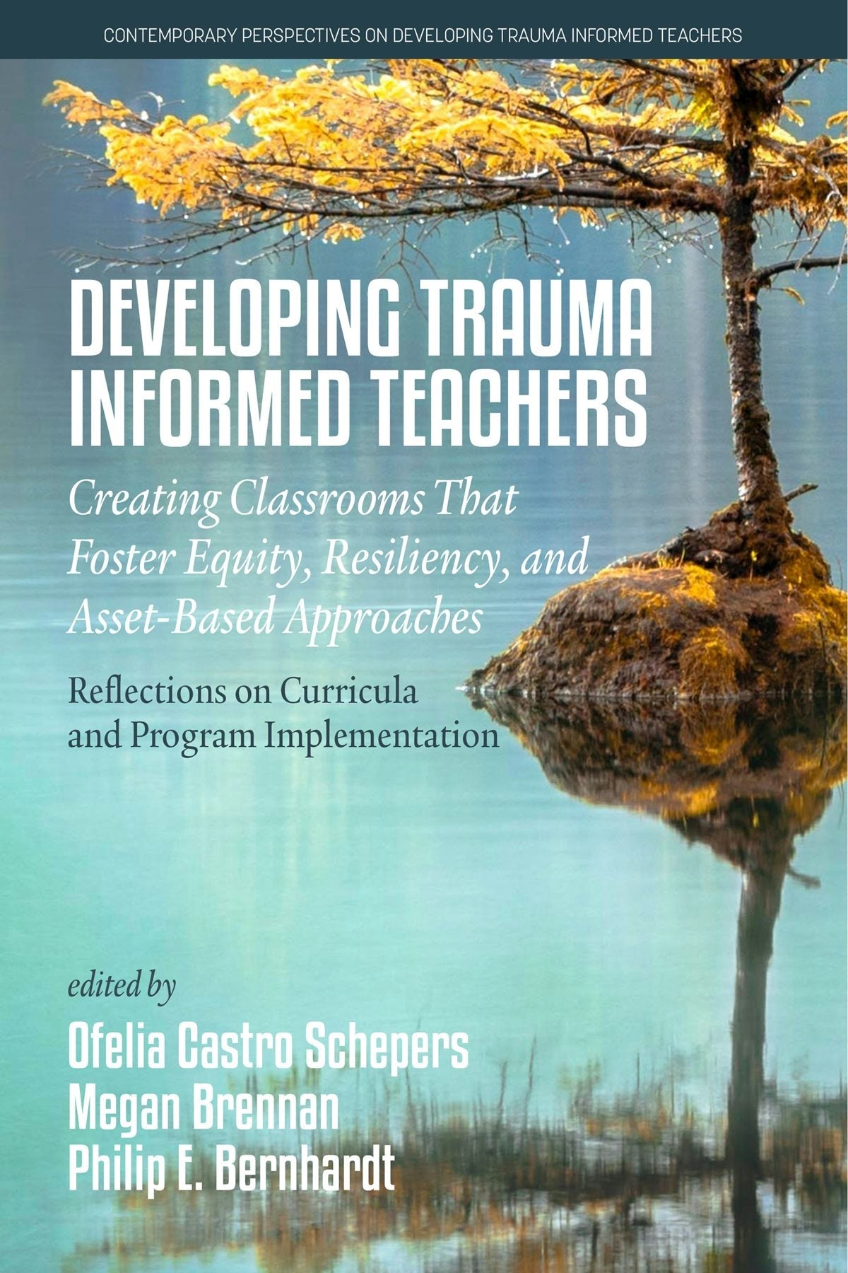 Book cover image for Developing Trauma-Informed Teachers ISBN: 9781648029936