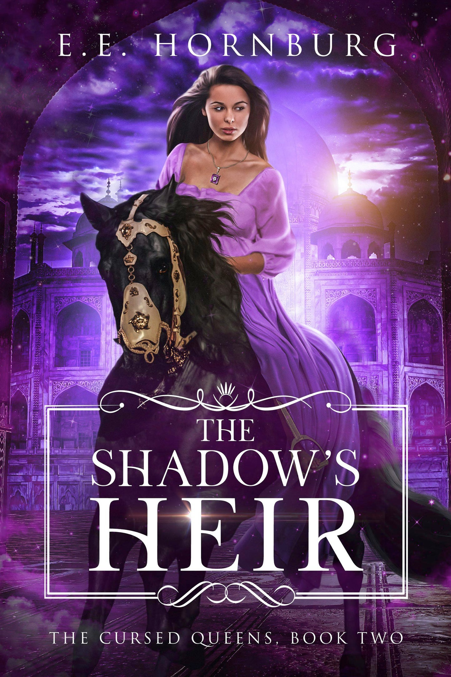 Book cover image for The Shadow's Heir ISBN: 9781648982040
