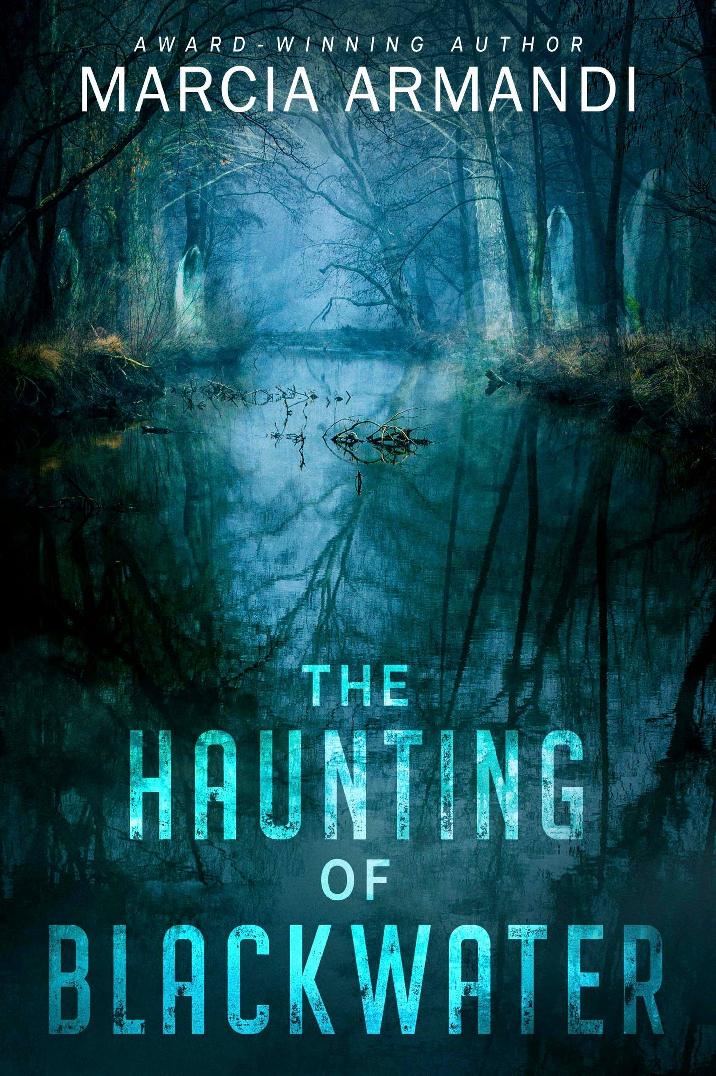 Book cover image for The Haunting of Blackwater ISBN: 9781648984112