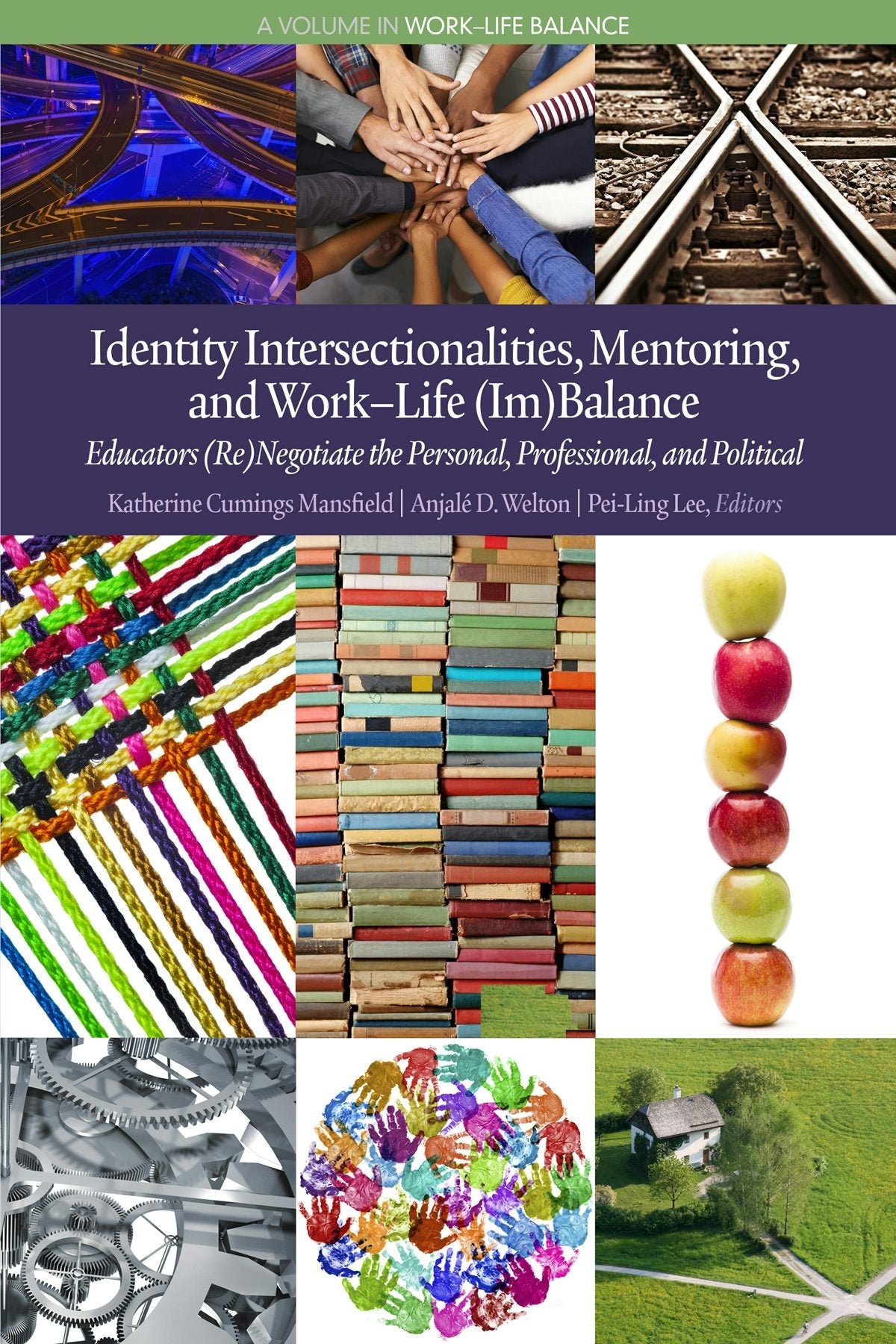 Book cover image for Identity Intersectionalities, Mentoring, and Work-Life (Im)Balance ISBN: 9781681235561