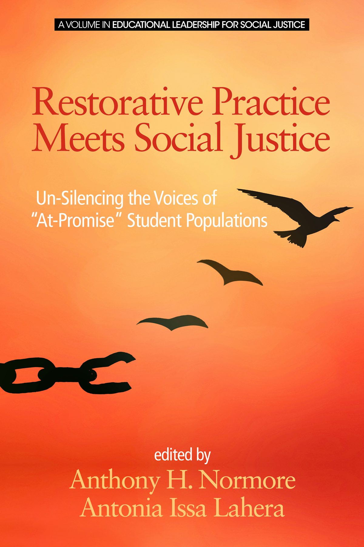 Book cover image for Restorative Practice Meets Social Justice ISBN: 9781681237282
