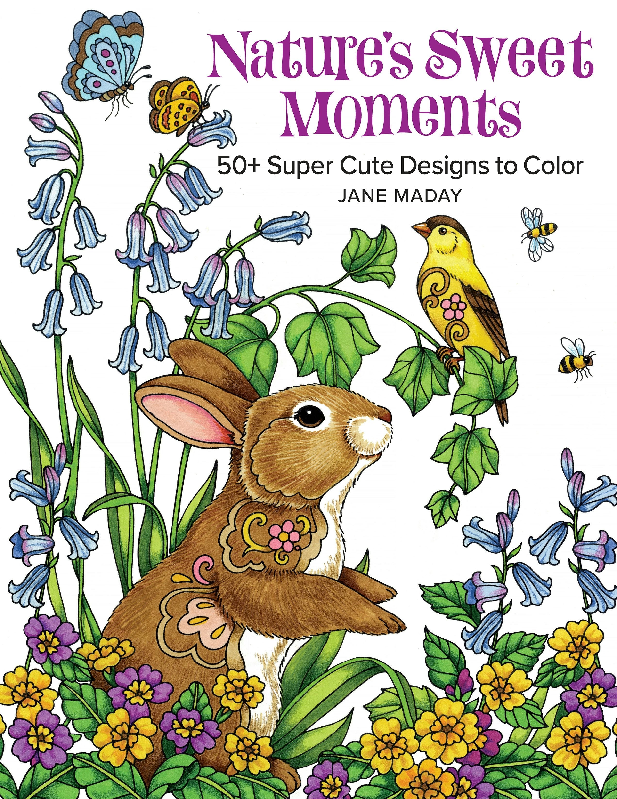 Book cover image for Nature's Sweet Moments ISBN: 9781684620227