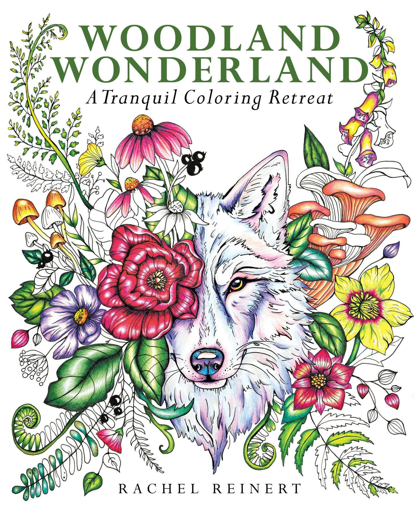 Book cover image for Woodland Wonderland ISBN: 9781684620821