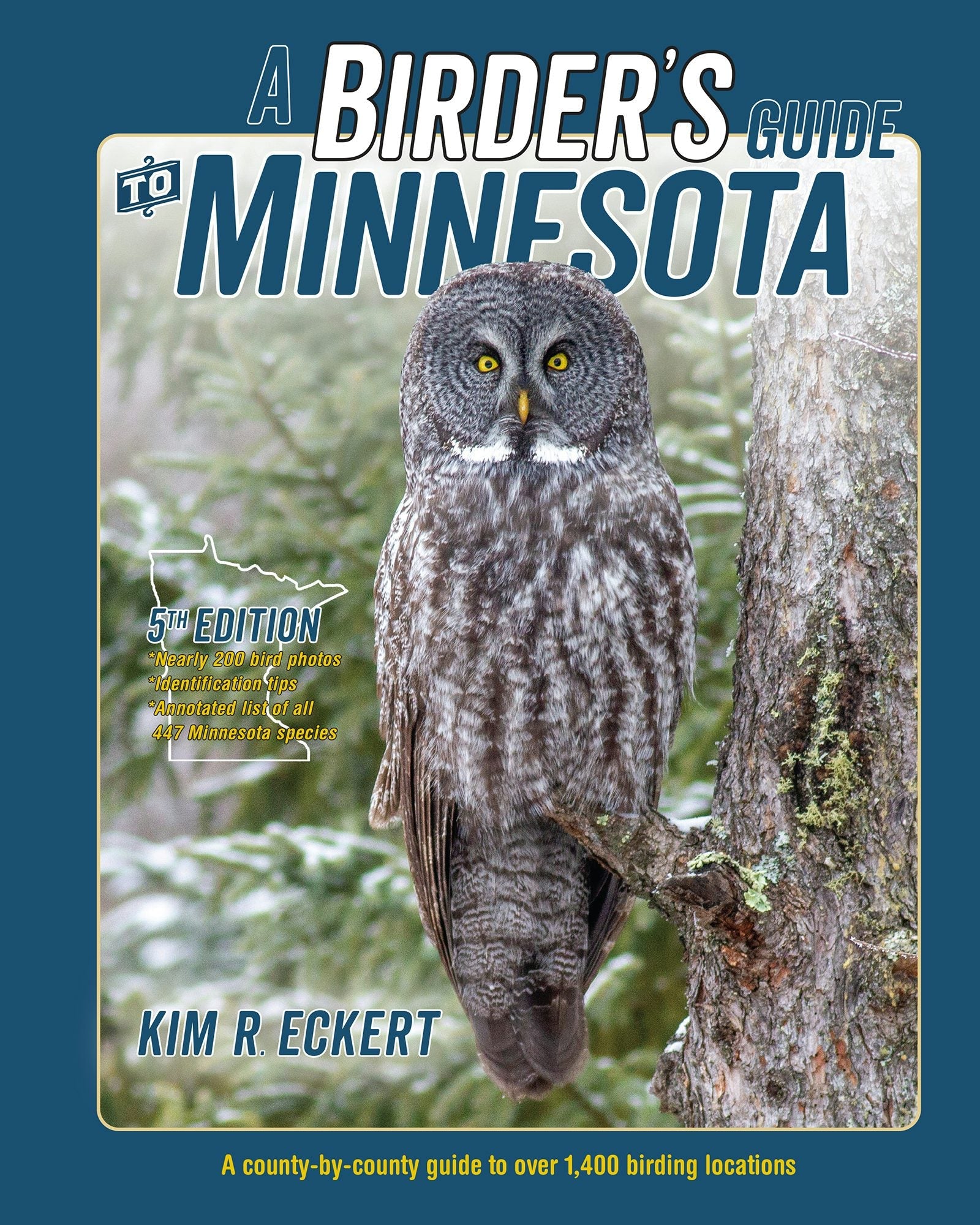 Book cover image for A Birder's Guide to Minnesota ISBN: 9781735349916