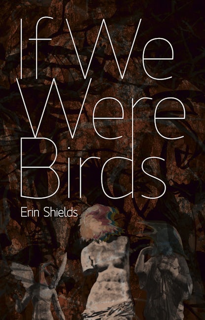 Book cover image for If We Were Birds ISBN: 9781770910126
