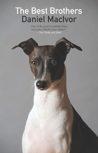 Book cover image for The Best Brothers ISBN: 9781770911543