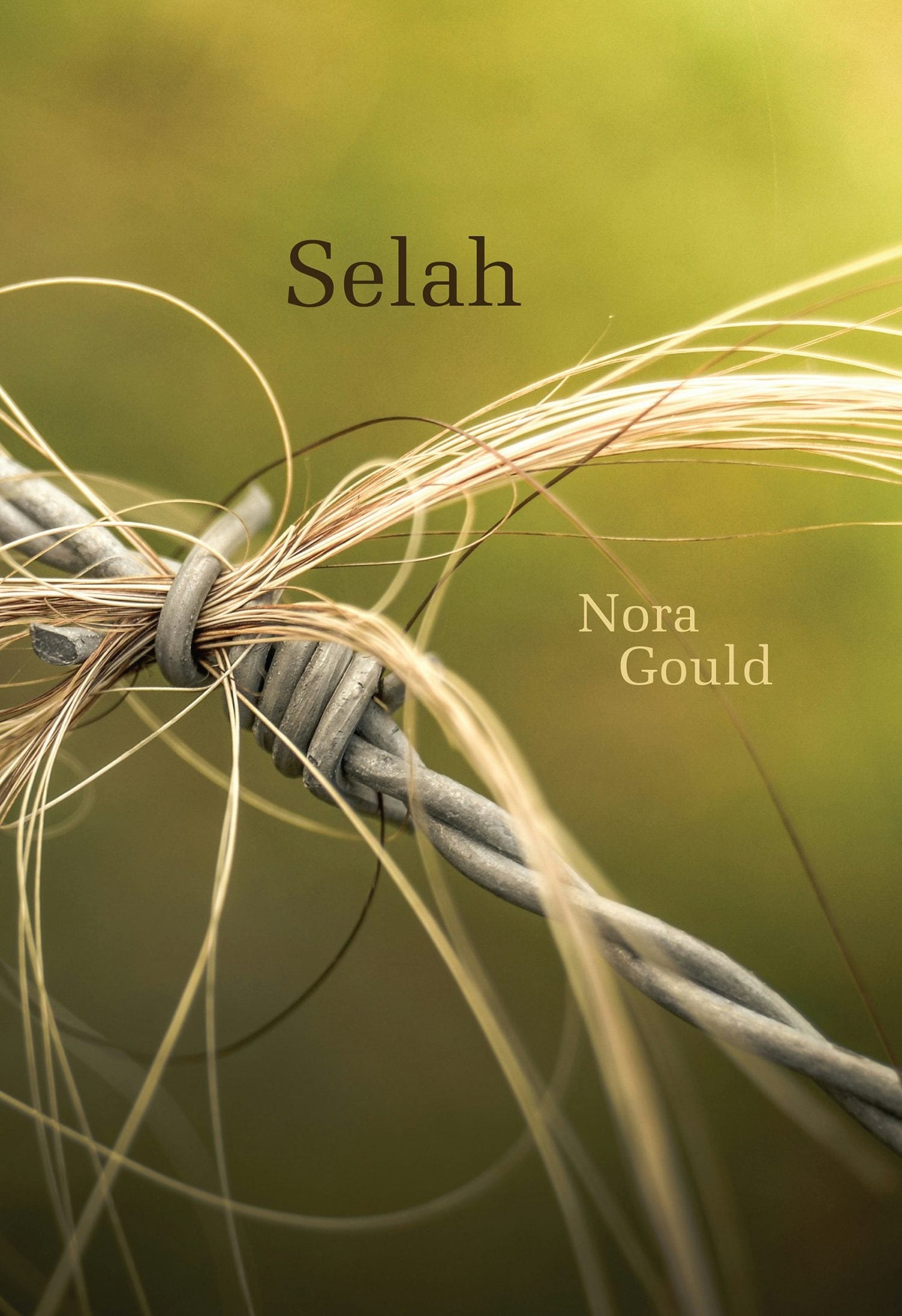 Book cover image for Selah ISBN: 9781771314459