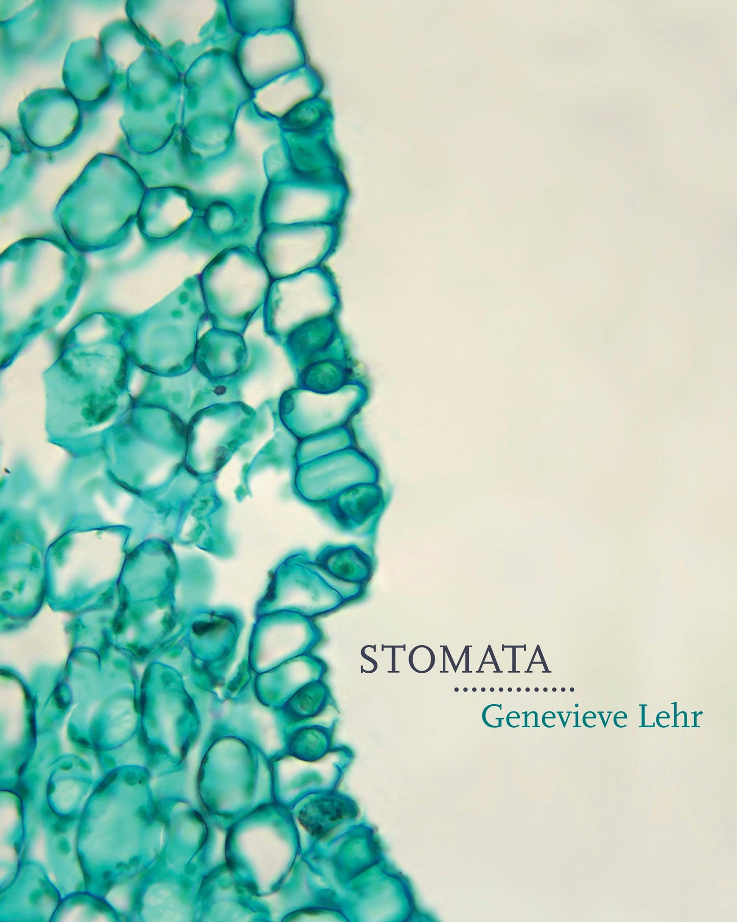Book cover image for Stomata ISBN: 9781771314480