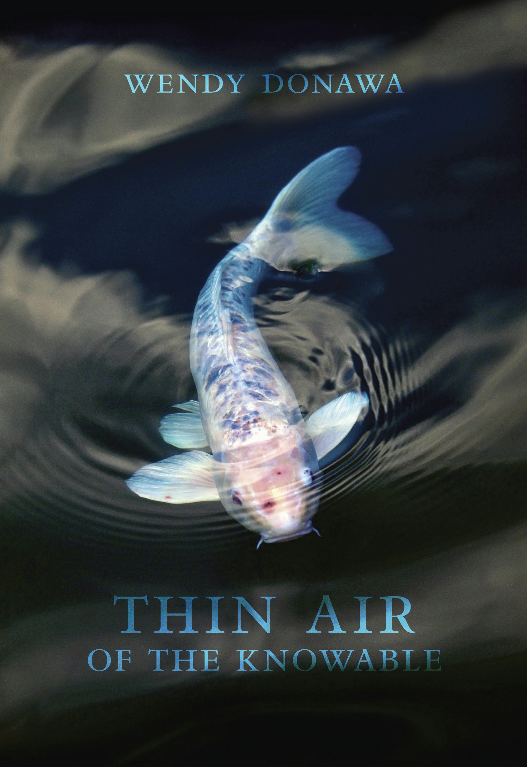 Book cover image for Thin Air of the Knowable ISBN: 9781771314602