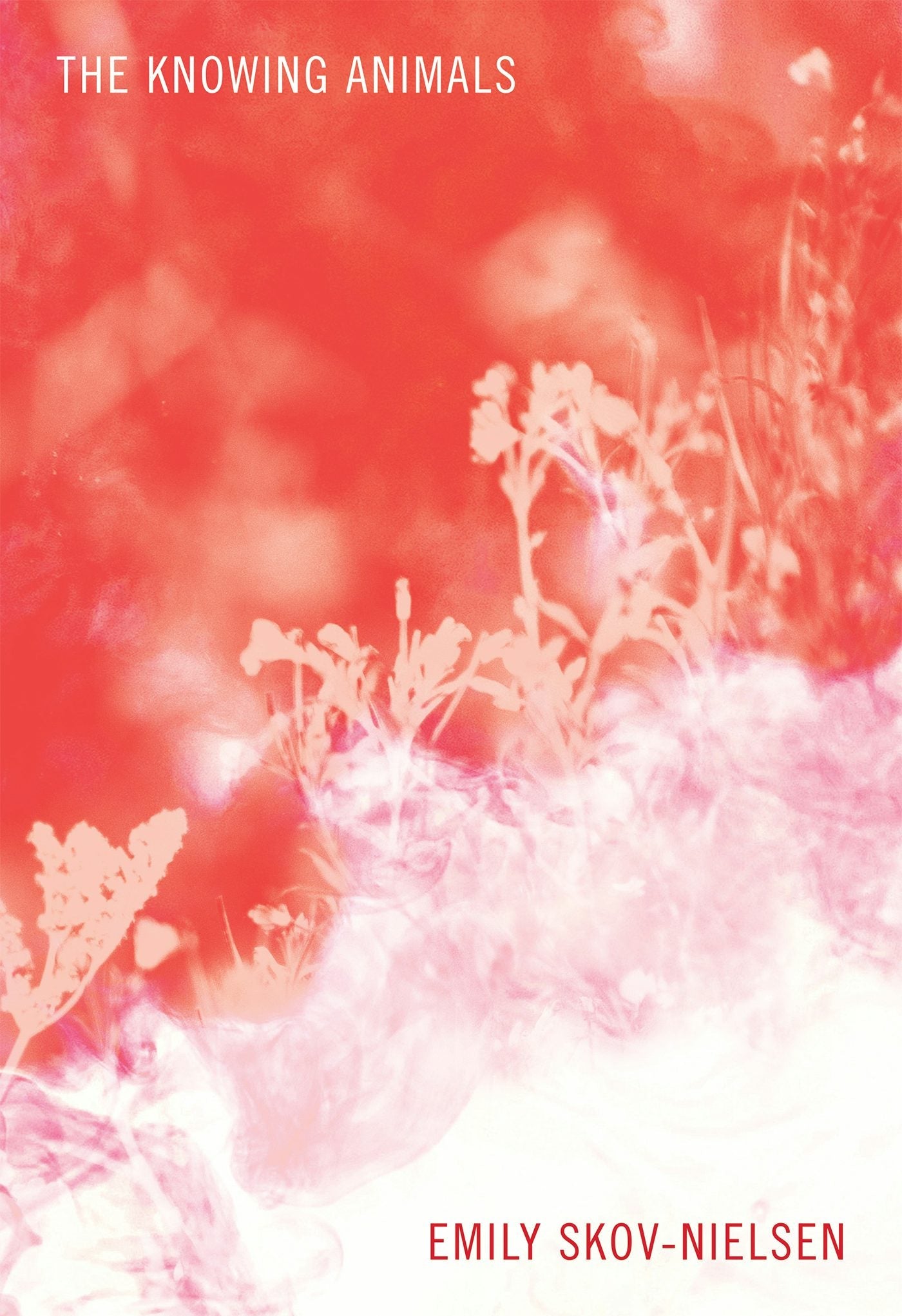 Book cover image for The Knowing Animals ISBN: 9781771315333