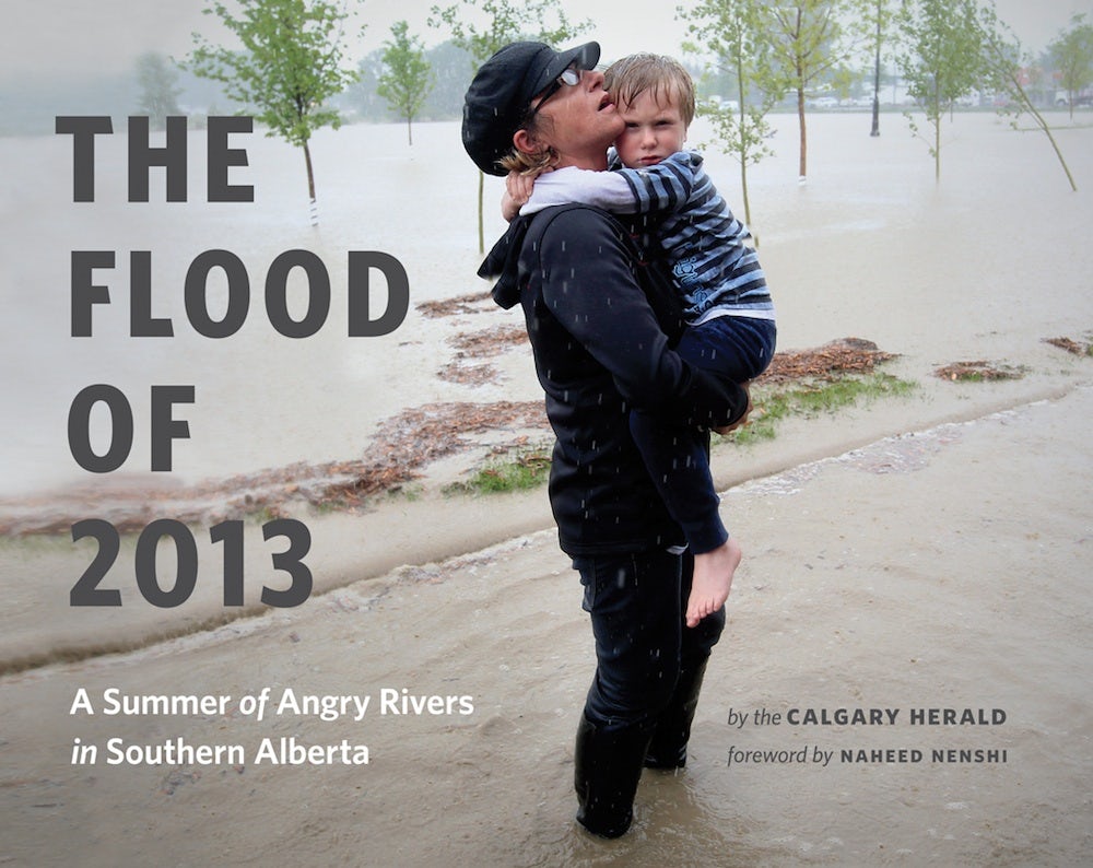 Book cover image for The Flood of 2013 ISBN: 9781771640343