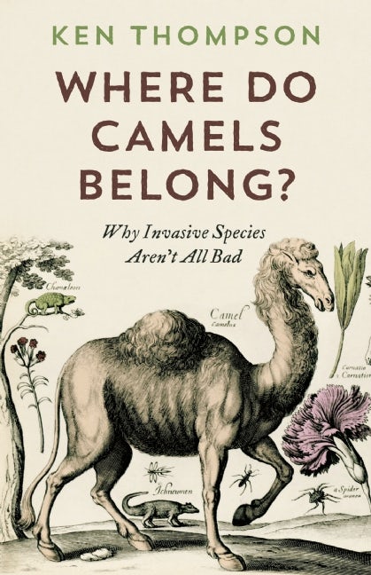 Book cover image for Where Do Camels Belong? ISBN: 9781771640961