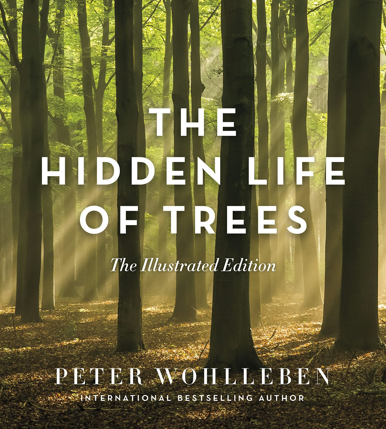 Book cover image for The Hidden Life of Trees: The Illustrated Edition ISBN: 9781771643481