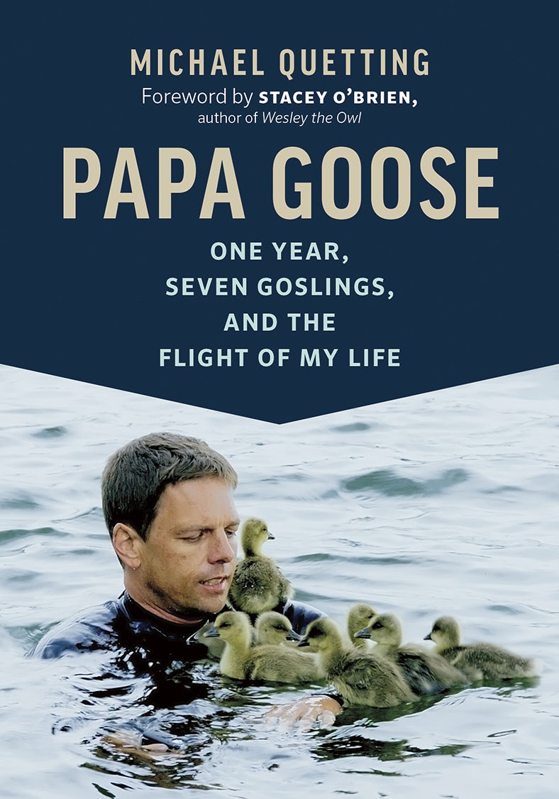 Book cover image for Papa Goose ISBN: 9781771643610