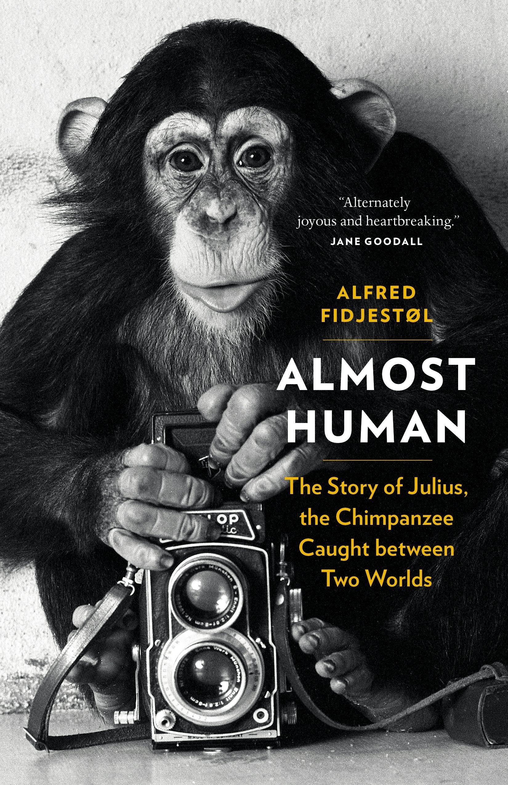 Book cover image for Almost Human ISBN: 9781771643856