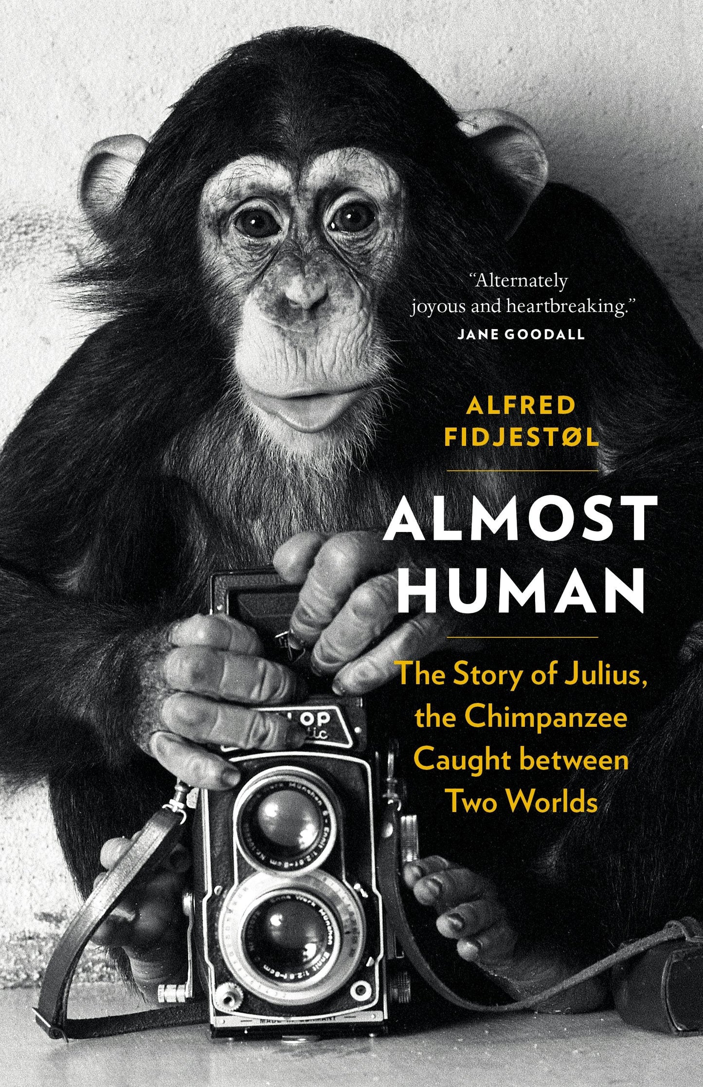 Book cover image for Almost Human ISBN: 9781771643863