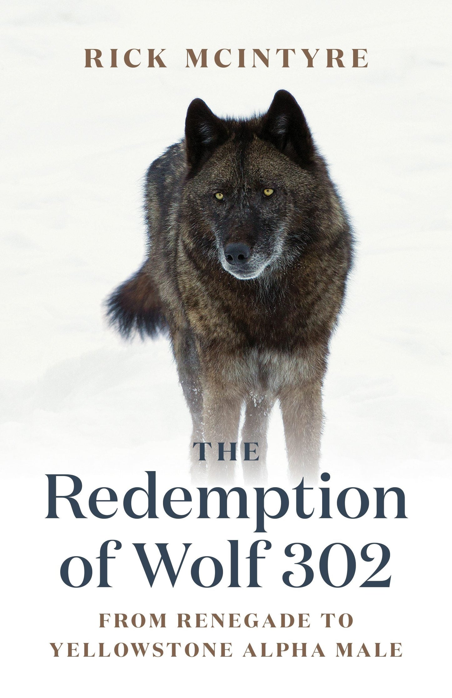 Book cover image for The Redemption of Wolf 302 ISBN: 9781771645270